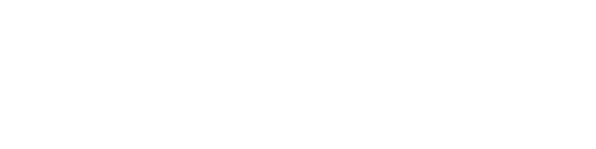 King Zion Logistics